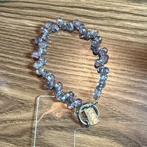 Circular Crystal Balls, Silver Hardware Foam Leash